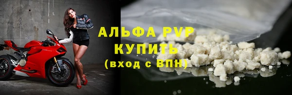 крисы Белокуриха