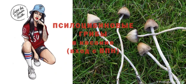крисы Белокуриха