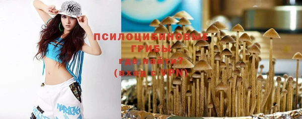 крисы Белокуриха